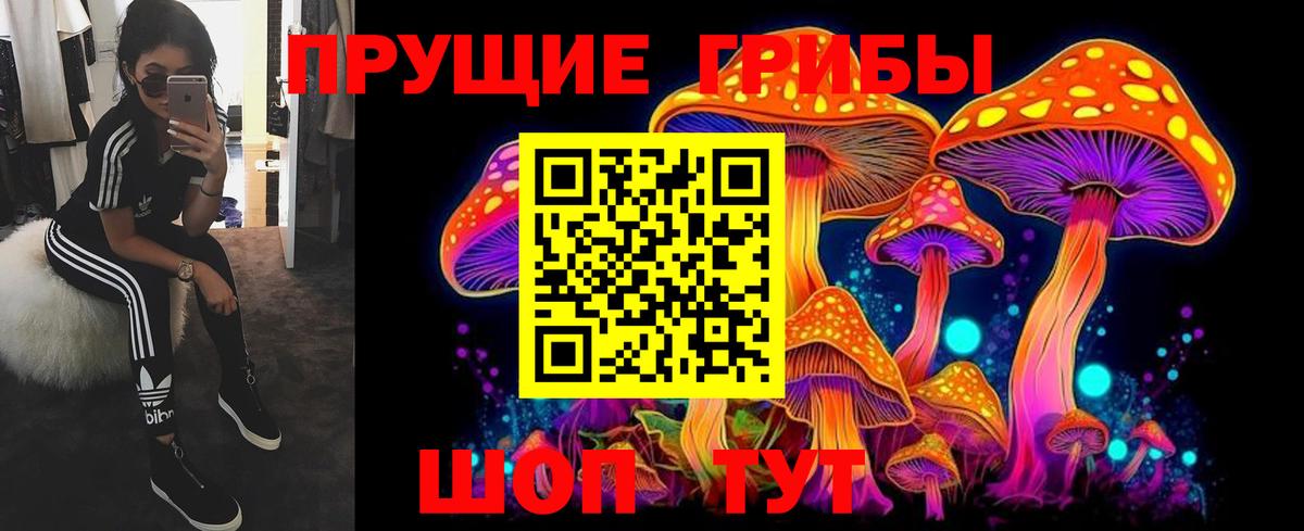купить   Вход с VPN  Зеленокумск  Псилоцибиновые грибы мицелий 